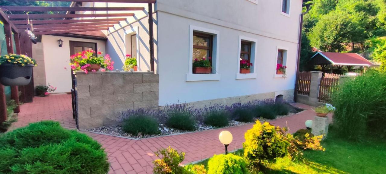 Wellness Apartman Bela 데친 외부 사진