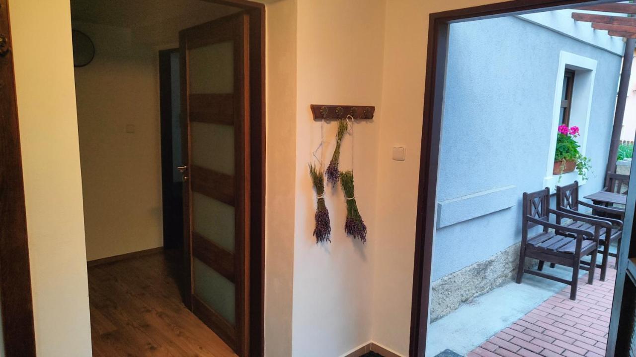 Wellness Apartman Bela 데친 외부 사진